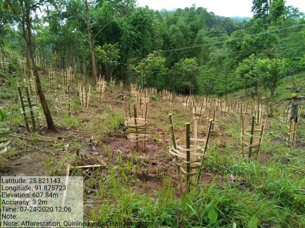 C:\Users\Lavinia Pde\Pictures\Camera Roll\IMG-20220713-WA0035.jpg